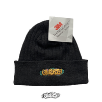 EMBROIDERED THINSULATE BEANIE