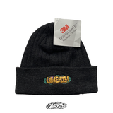 EMBROIDERED THINSULATE BEANIE